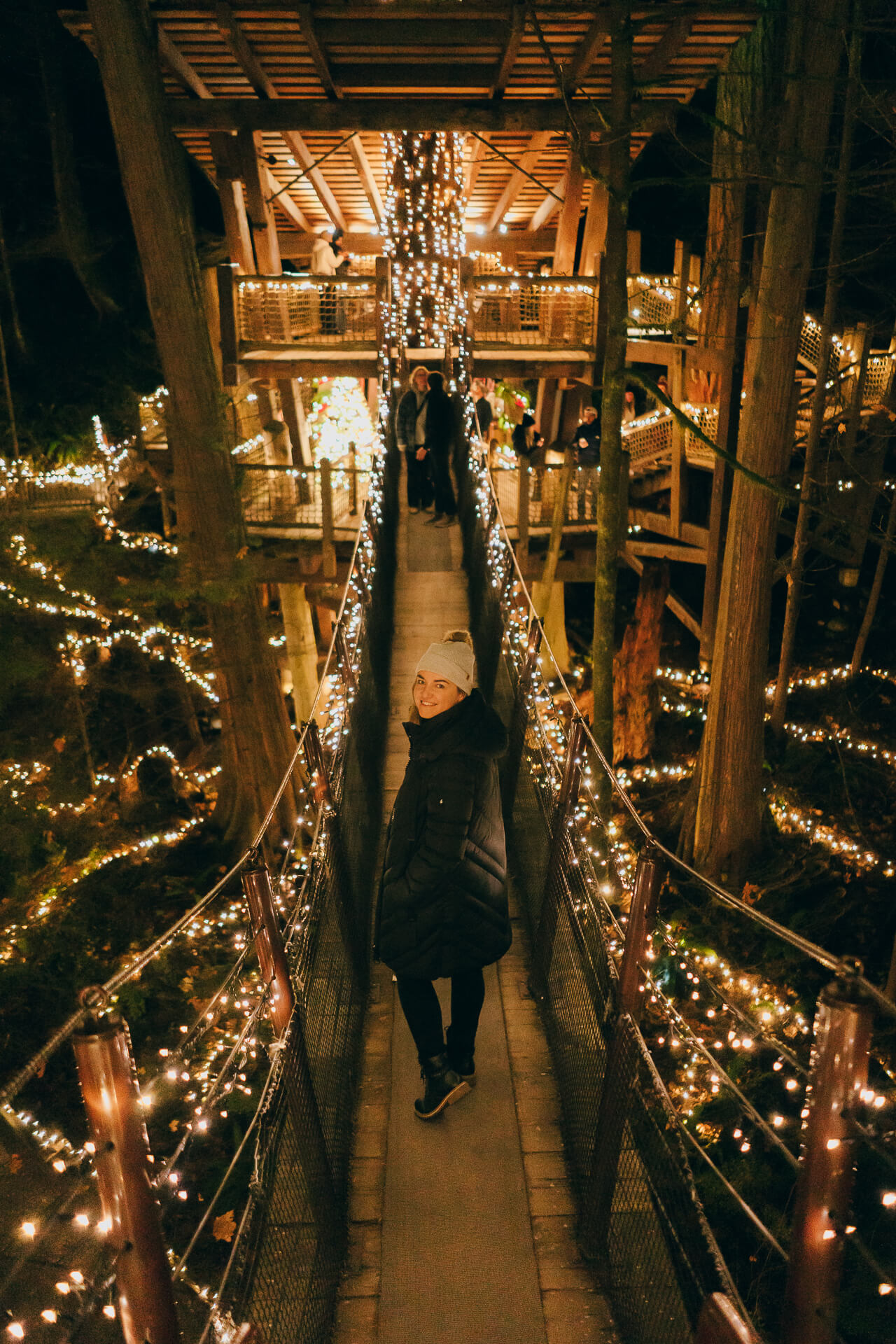 Capilano Suspension Bridge Park Vancouver - Visitor Guide (2026) | Roam ...