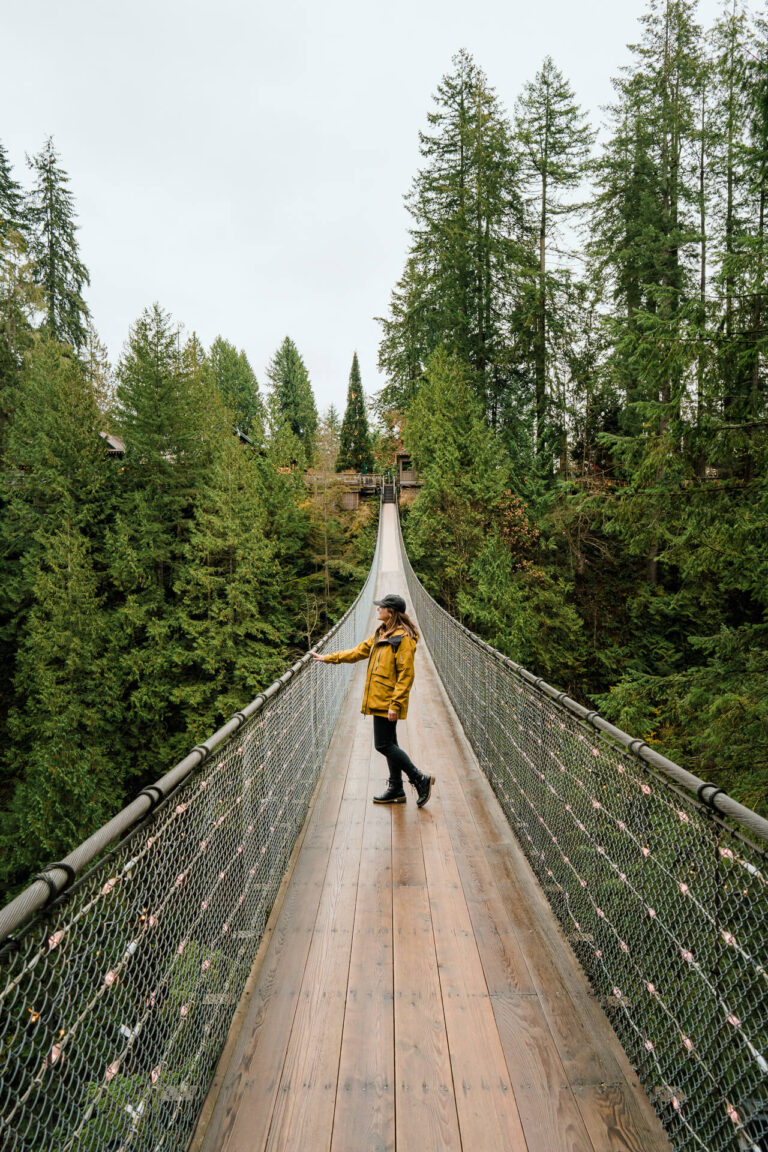 Capilano Suspension Bridge Park Vancouver - Visitor Guide (2025) | Roam ...