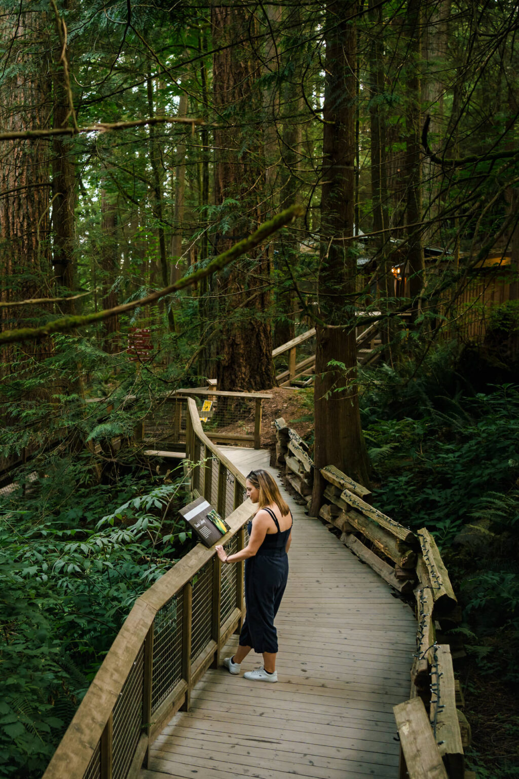 Capilano Suspension Bridge Park Vancouver - Visitor Guide (2025) | Roam ...