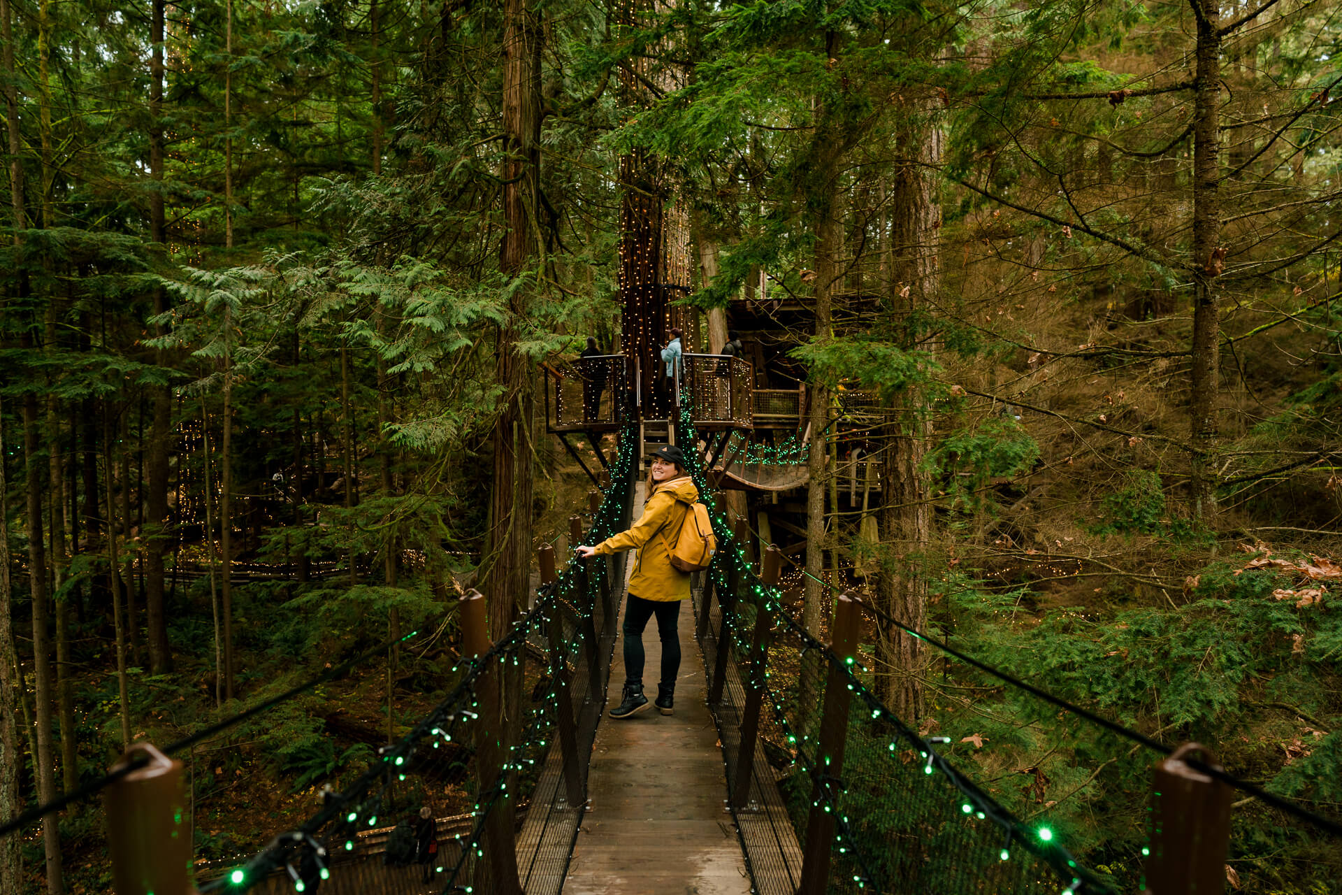 Capilano Suspension Bridge Park Vancouver - Visitor Guide (2026) | Roam ...