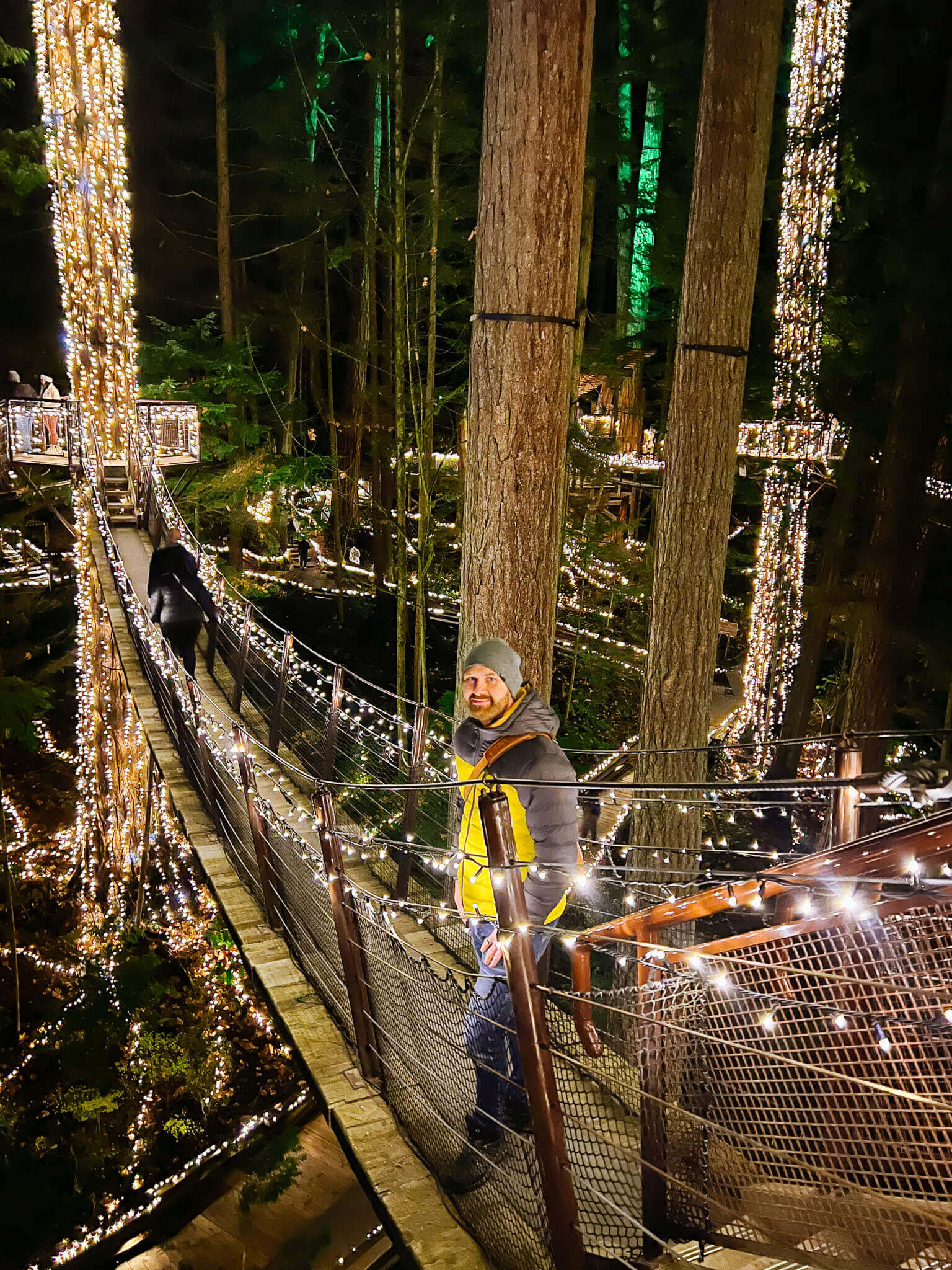 Capilano Suspension Bridge Park Vancouver - Visitor Guide (2026) | Roam ...