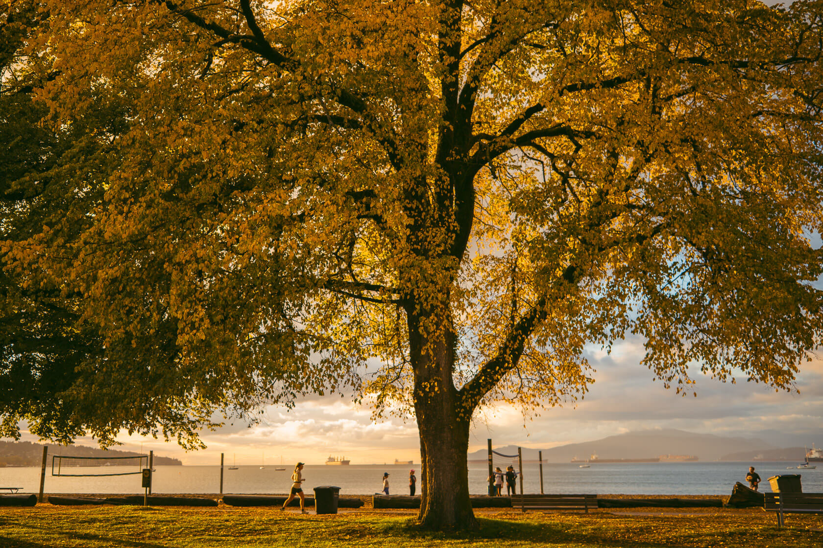 Volleyball nets and runners in Kitsilano beach at sunset